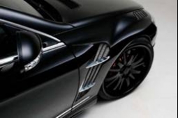WALD спортивные передние крылья Black Bison Edition