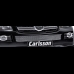 Металлическая решетка от Carlsson