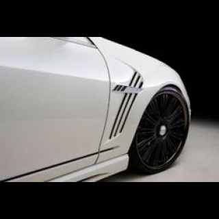 WALD спортивные передние крылья Black Bison Edition
