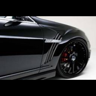 WALD спортивные передние крылья Black Bison Edition